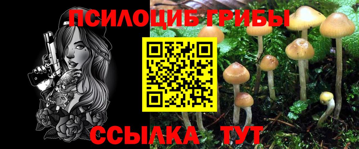 Галлюциногенные грибы MAGIC MUSHROOMS Георгиевск